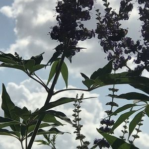 Meet your Posher, Erik